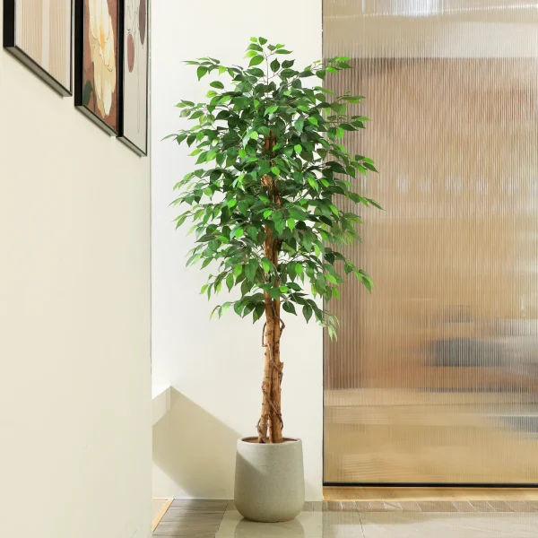 Artificial Ficus Trees w/ Natural Curved Trunks